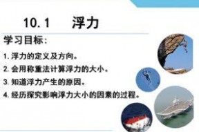 浮力第17页国产